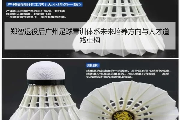 郑智退役后广州足球青训体系未来培养方向与人才道路重构