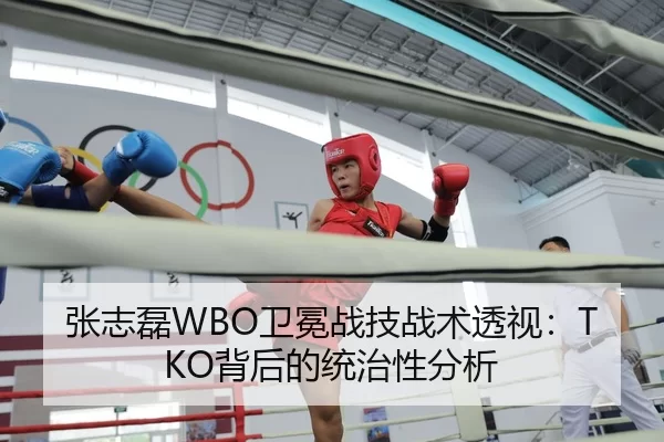 张志磊WBO卫冕战技战术透视：TKO背后的统治性分析