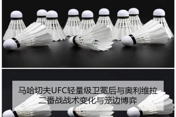 ma-ha-qie-fu-qing-liang-ji-wei-mian-hou-yu-ao-li-wei-la-er-fan-zhan-zhan-shu-bian-hua-yu-long-bian-bo-yi-3-895.jpg